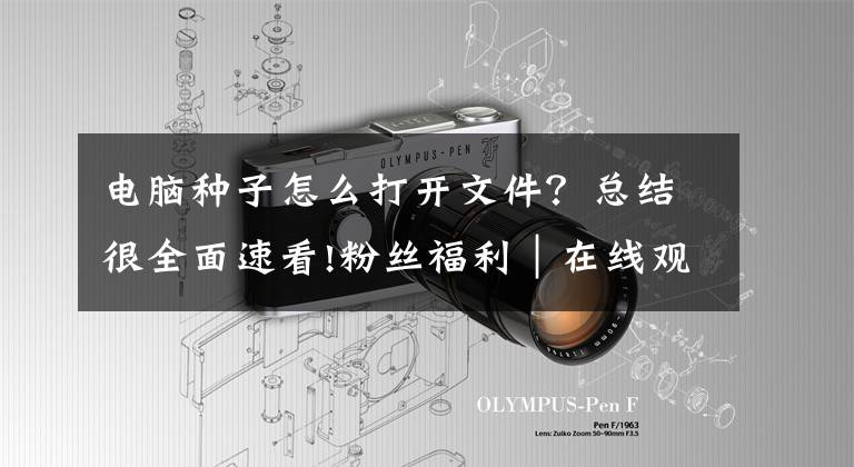 电脑种子怎么打开文件？总结很全面速看!粉丝福利｜在线观看BT文件和磁力链接视频攻略文章配图