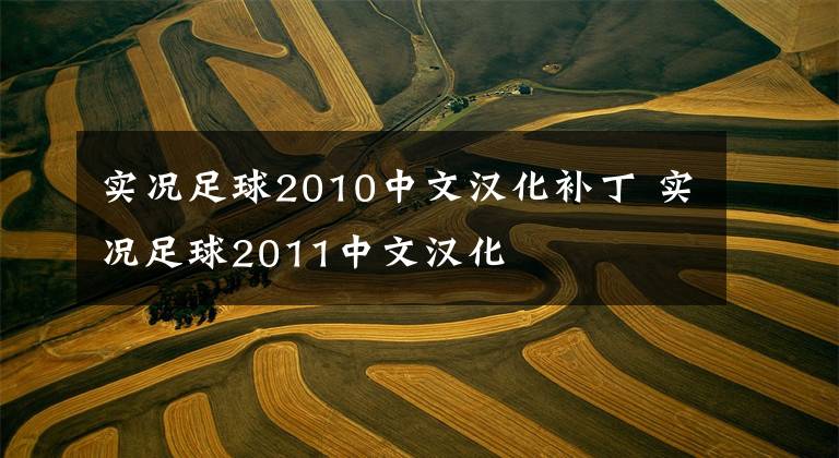 实况足球2010中文汉化补丁 实况足球2011中文汉化