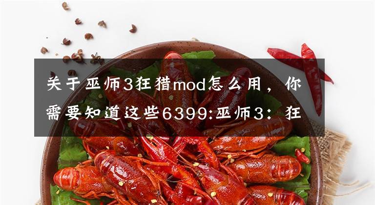 关于巫师3狂猎mod怎么用，你需要知道这些6399:巫师3：狂猎mod怎么用 巫师3：狂猎mod用法及存放位置