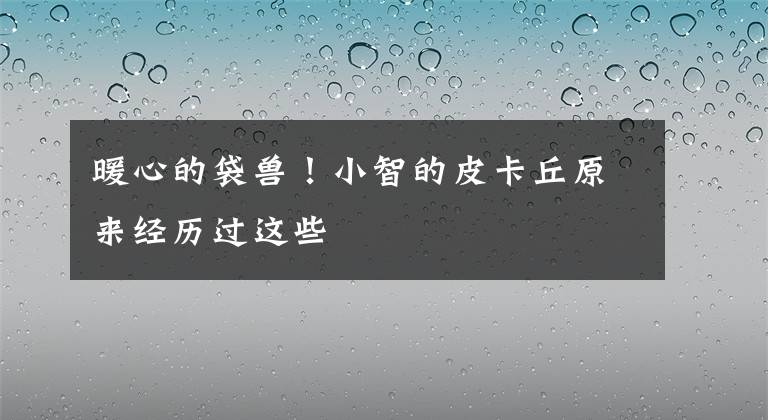暖心的袋兽！小智的皮卡丘原来经历过这些文章配图