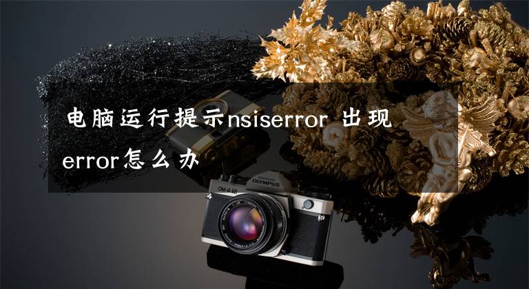 电脑运行提示nsiserror 出现error怎么办