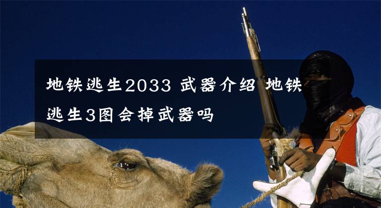 地铁逃生2033 武器介绍 地铁逃生3图会掉武器吗