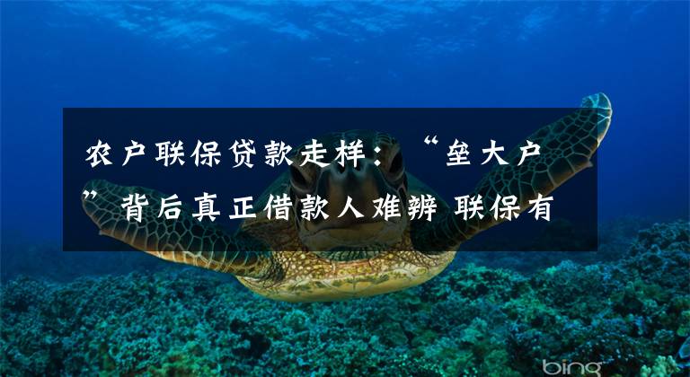 农户联保贷款走样：“垒大户”背后真正借款人难辨 联保有名无实文章配图