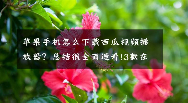 苹果手机怎么下载西瓜视频播放器？总结很全面速看!3款在线视频下载工具，50多个主流平台视频任意下载！文章配图