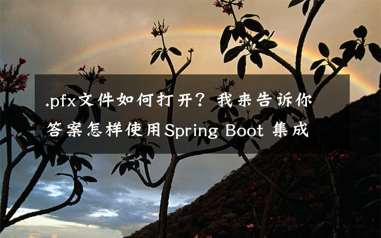 .pfx文件如何打开？我来告诉你答案怎样使用Spring Boot 集成配置 HTTPS