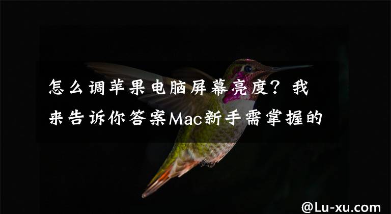 怎么调苹果电脑屏幕亮度？我来告诉你答案Mac新手需掌握的操作技巧——屏幕篇文章配图