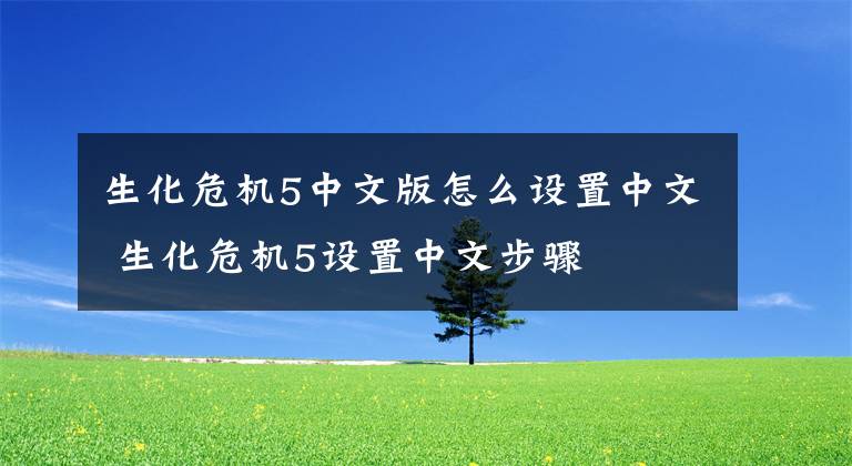 生化危机5中文版怎么设置中文 生化危机5设置中文步骤