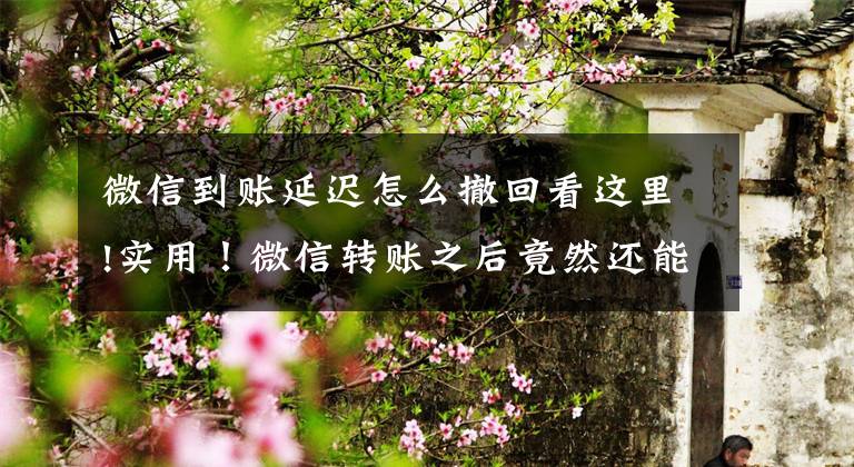 微信到账延迟怎么撤回看这里!实用！微信转账之后竟然还能撤回？快get文章配图