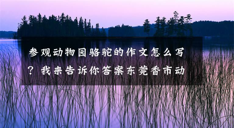 参观动物园骆驼的作文怎么写？我来告诉你答案东莞香市动物园游记——动物篇