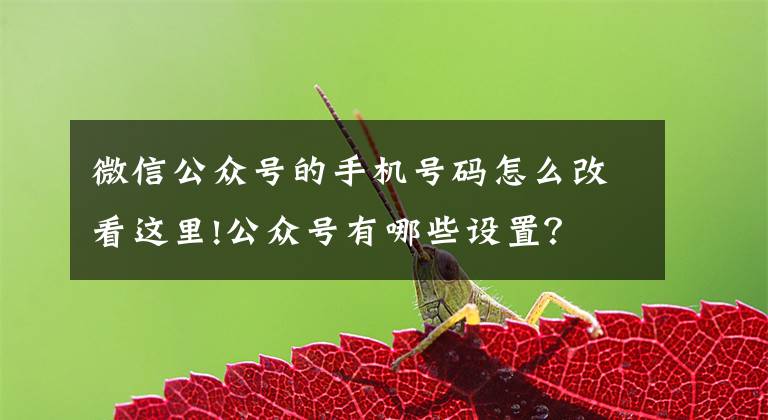 微信公众号的手机号码怎么改看这里!公众号有哪些设置？文章配图