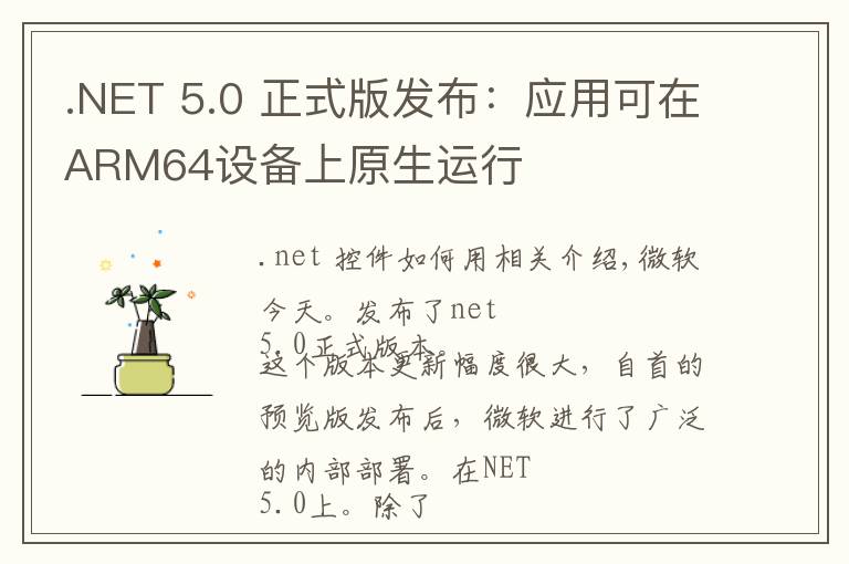 .NET 5.0 正式版发布：应用可在ARM64设备上原生运行