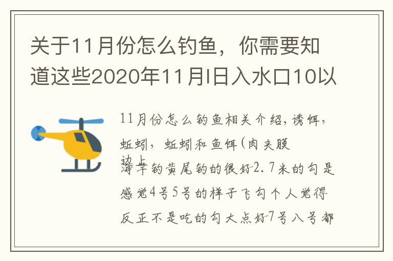 关于11月份怎么钓鱼，你需要知道这些2020年11月I日入水口10以后鲫鱼开口