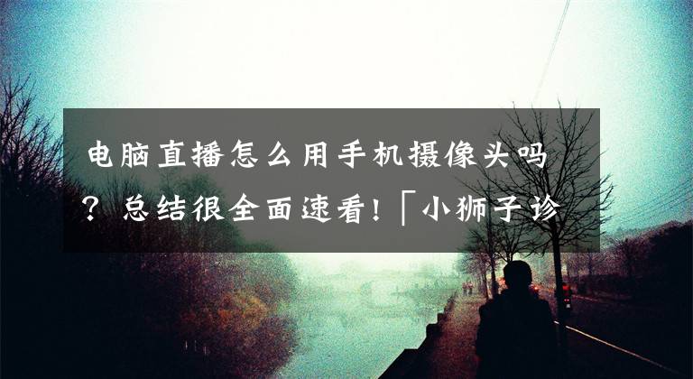电脑直播怎么用手机摄像头吗？总结很全面速看!「小狮子诊所」主播直播电脑怎么装？文章配图