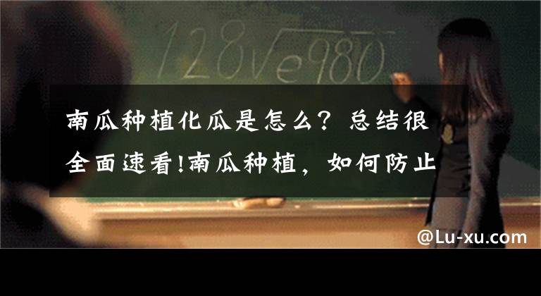 南瓜种植化瓜是怎么？总结很全面速看!南瓜种植，如何防止南瓜化瓜现象？做好8点，南瓜结的满地都是文章配图
