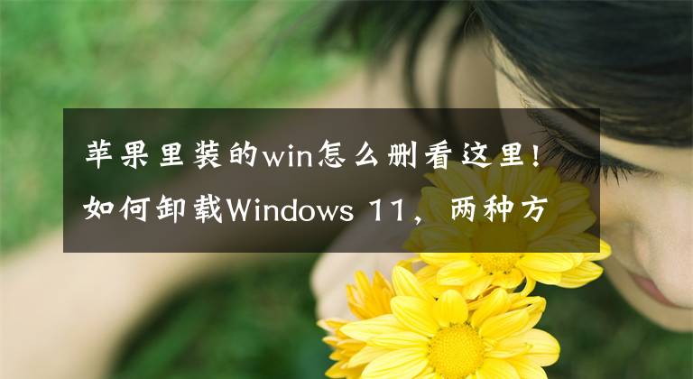 苹果里装的win怎么删看这里!如何卸载Windows 11，两种方法任你选择