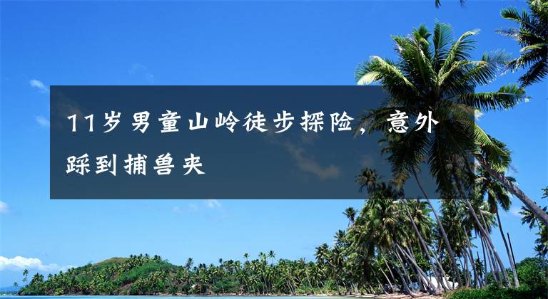 11岁男童山岭徒步探险，意外踩到捕兽夹文章配图