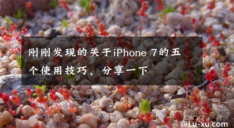 刚刚发现的关于iPhone 7的五个使用技巧，分享一下文章配图