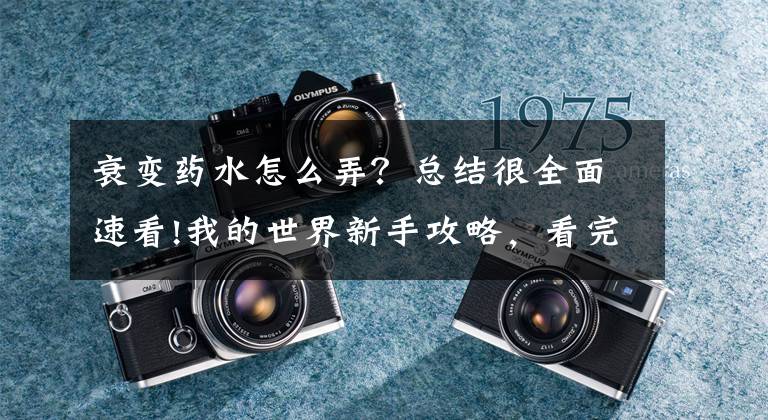 衰变药水怎么弄？总结很全面速看!我的世界新手攻略，看完后秒变大神4.3文章配图