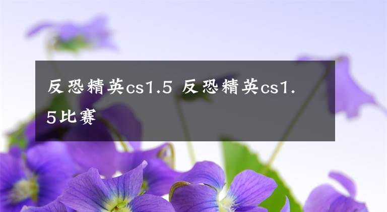 反恐精英cs1.5 反恐精英cs1.5比赛