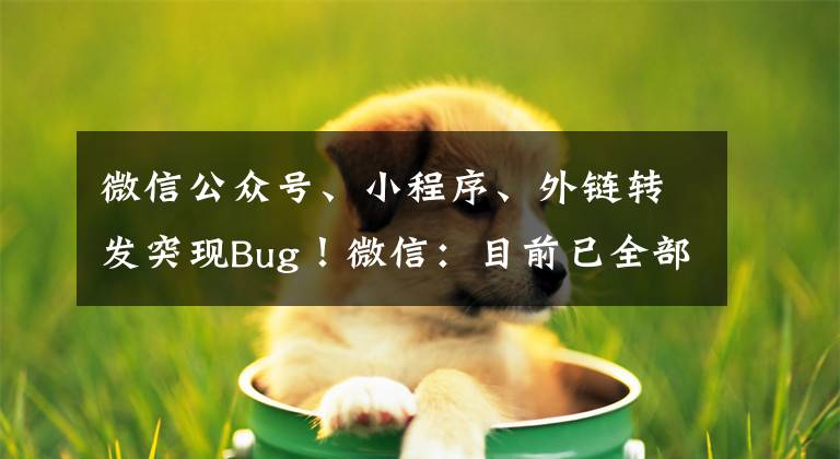 微信公众号、小程序、外链转发突现Bug！微信：目前已全部修复文章配图