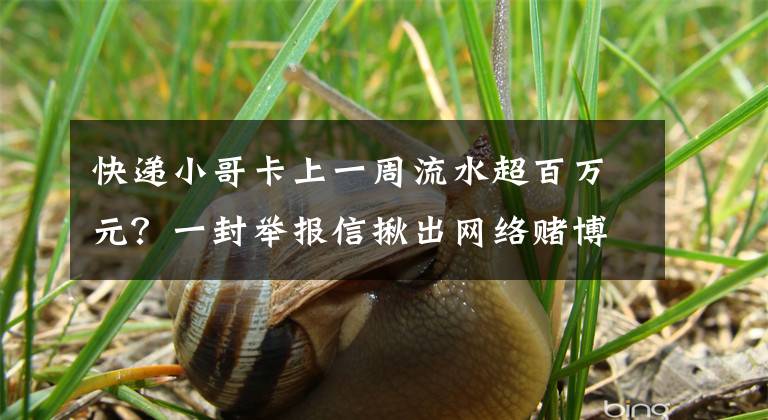 快递小哥卡上一周流水超百万元？一封举报信揪出网络赌博团伙文章配图