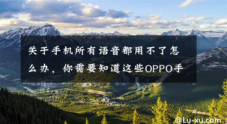 关于手机所有语音都用不了怎么办，你需要知道这些OPPO手机的微信或者QQ无法语音和视频的解决方法文章配图