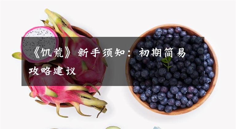 《饥荒》新手须知：初期简易攻略建议文章配图