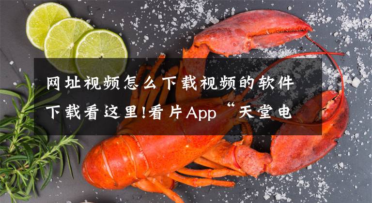 网址视频怎么下载视频的软件下载看这里!看片App“天堂电影”凉凉！这回被优酷盯上了……文章配图