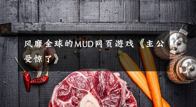 风靡全球的MUD网页游戏《主公受惊了》