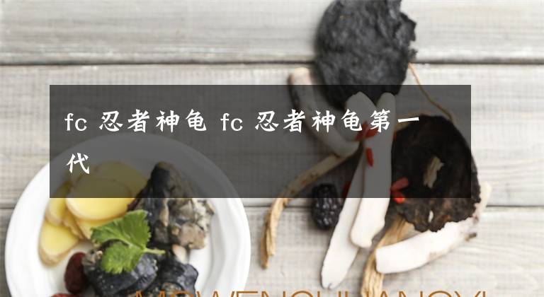 fc 忍者神龟 fc 忍者神龟第一代