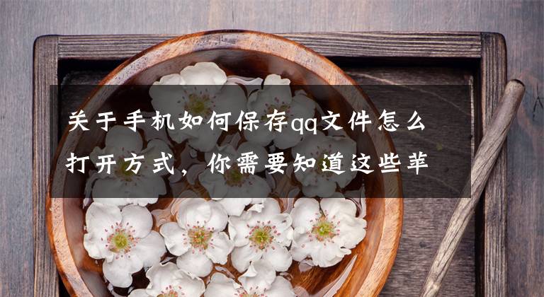 关于手机如何保存qq文件怎么打开方式，你需要知道这些苹果手机QQ聊天记录保存在哪个文件夹，如何导出电脑查看文章配图