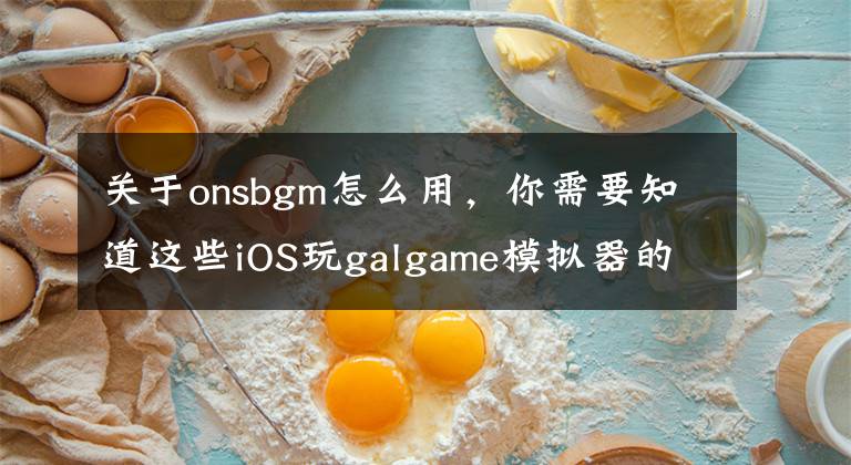 关于onsbgm怎么用，你需要知道这些iOS玩galgame模拟器的详细说明（越狱，非越狱，ONS）