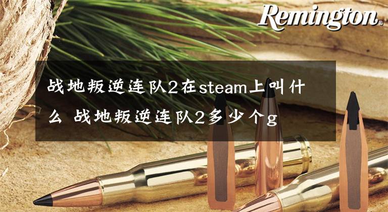 战地叛逆连队2在steam上叫什么 战地叛逆连队2多少个g