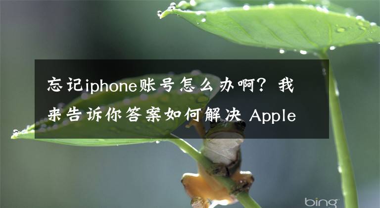 忘记iphone账号怎么办啊？我来告诉你答案如何解决 Apple ID 验证失败，无法正常使用？文章配图