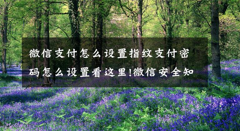 微信支付怎么设置指纹支付密码怎么设置看这里!微信安全知识（三）：如何开启微信支付的6层安全防火墙文章配图