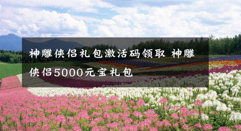 神雕侠侣礼包激活码领取 神雕侠侣5000元宝礼包