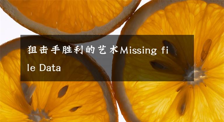 狙击手胜利的艺术Missing file Data