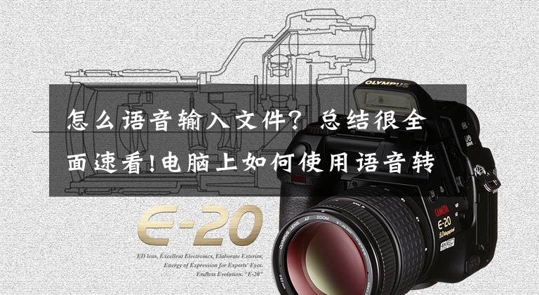怎么语音输入文件？总结很全面速看!电脑上如何使用语音转文输入？文章配图