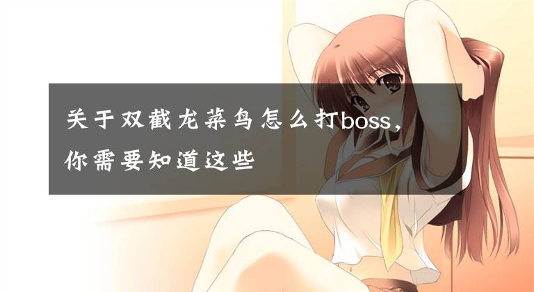 关于双截龙菜鸟怎么打boss，你需要知道这些