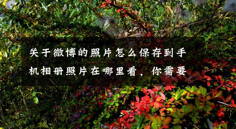 关于微博的照片怎么保存到手机相册照片在哪里看，你需要知道这些如何一键批量下载微博相册全部图片到电脑上文章配图