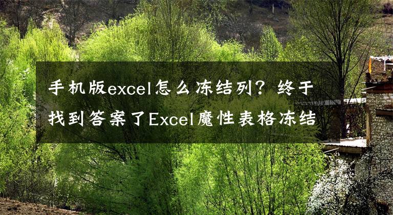手机版excel怎么冻结列？终于找到答案了Excel魔性表格冻结技巧，表头表尾任意选择，查阅数据不卡手文章配图