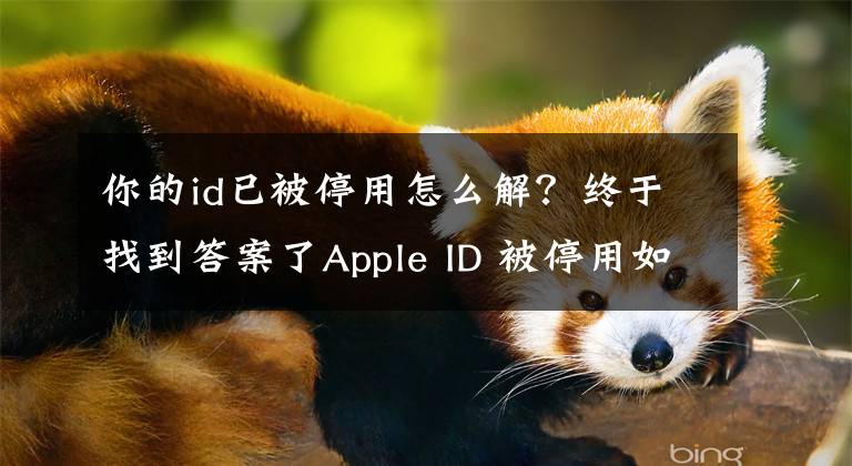 你的id已被停用怎么解？终于找到答案了Apple ID 被停用如何解决？