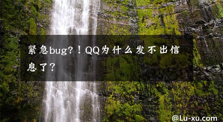 紧急bug?！QQ为什么发不出信息了？文章配图