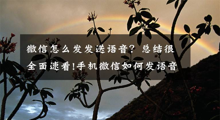 微信怎么发发送语音？总结很全面速看!手机微信如何发语音聊天呢？