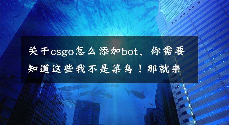 关于csgo怎么添加bot，你需要知道这些我不是菜鸟！那就来学会控制台这招吧^^文章配图
