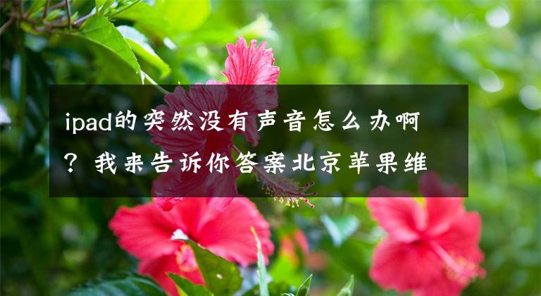 ipad的突然没有声音怎么办啊？我来告诉你答案北京苹果维修中心——苹果手机无声怎么办？文章配图