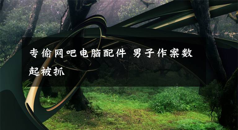 专偷网吧电脑配件 男子作案数起被抓文章配图