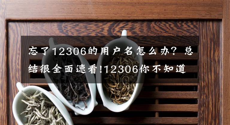 忘了12306的用户名怎么办？总结很全面速看!12306你不知道的那些事儿