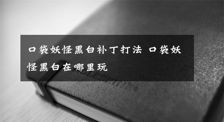 口袋妖怪黑白补丁打法 口袋妖怪黑白在哪里玩