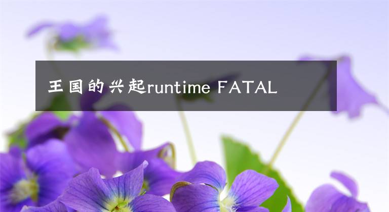 王国的兴起runtime FATAL